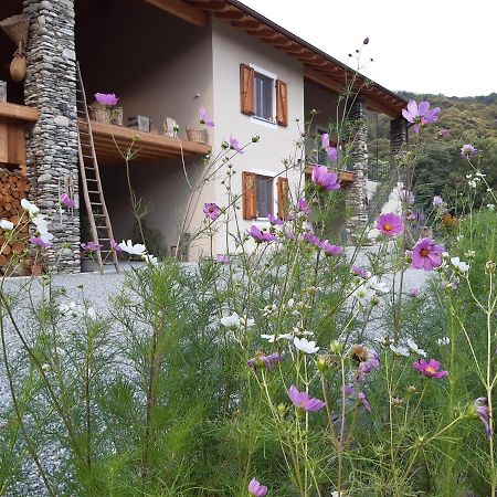 Semi Al Vento: La Bio-Casa Nel Giardino Incantato! Apartment Paesana Exterior photo