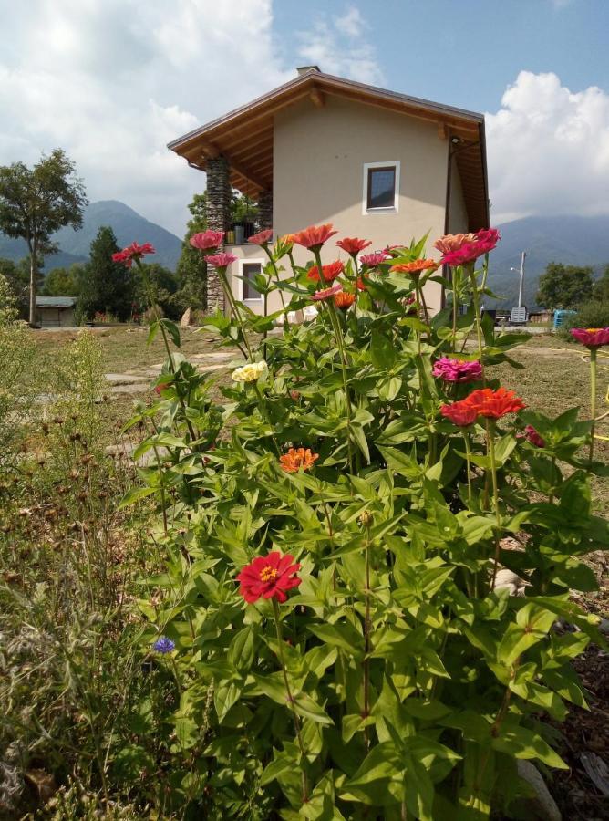 Semi Al Vento: La Bio-Casa Nel Giardino Incantato! Apartment Paesana Exterior photo