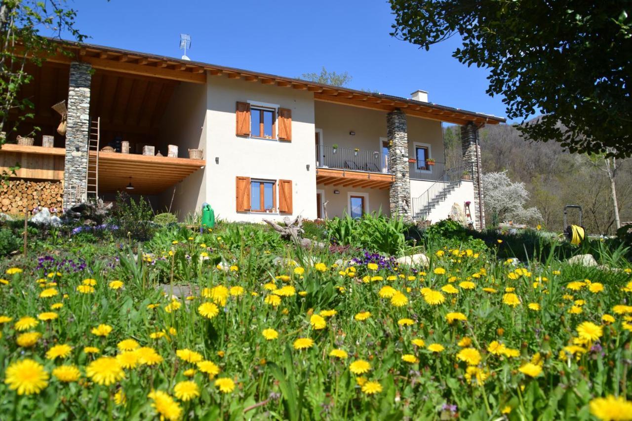 Semi Al Vento: La Bio-Casa Nel Giardino Incantato! Apartment Paesana Exterior photo